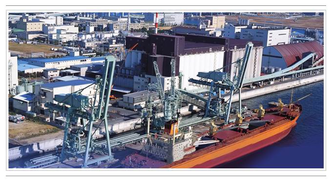 365速发国际(中国)官方网站